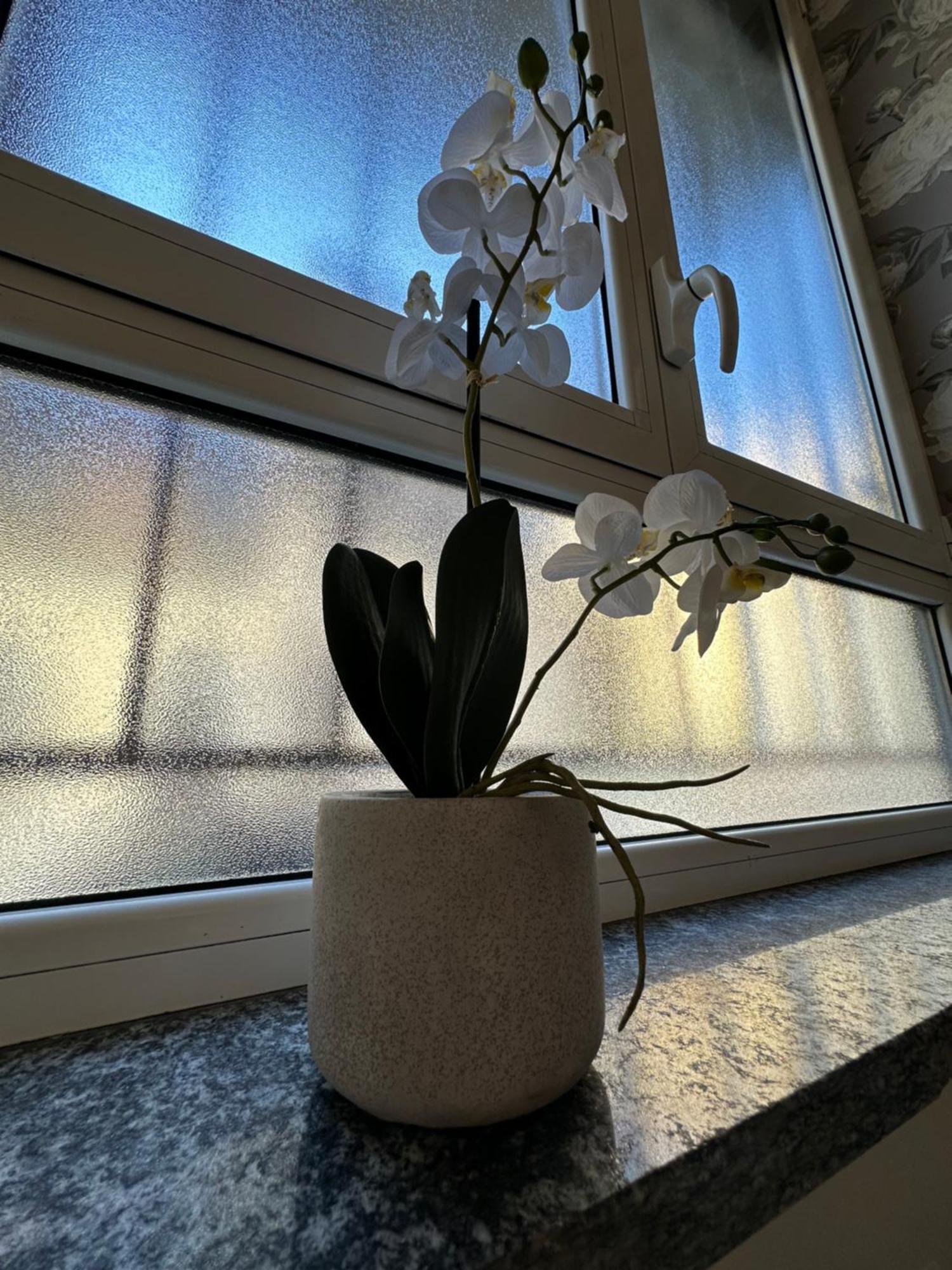 Flowers, A Cozy Suite In Milano Dış mekan fotoğraf